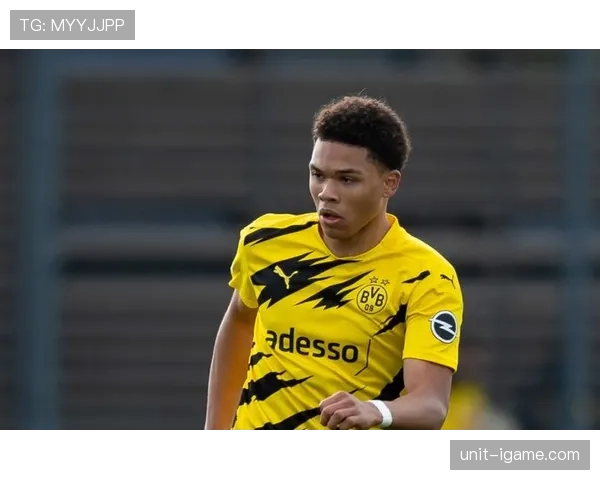 法国青训体系再创佳绩，持续输送新一代足球新星引全球瞩目